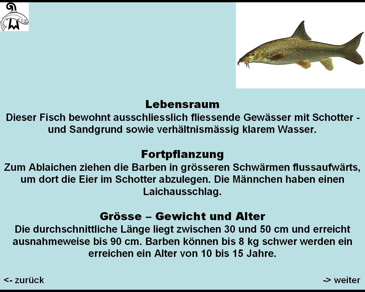 bild 107